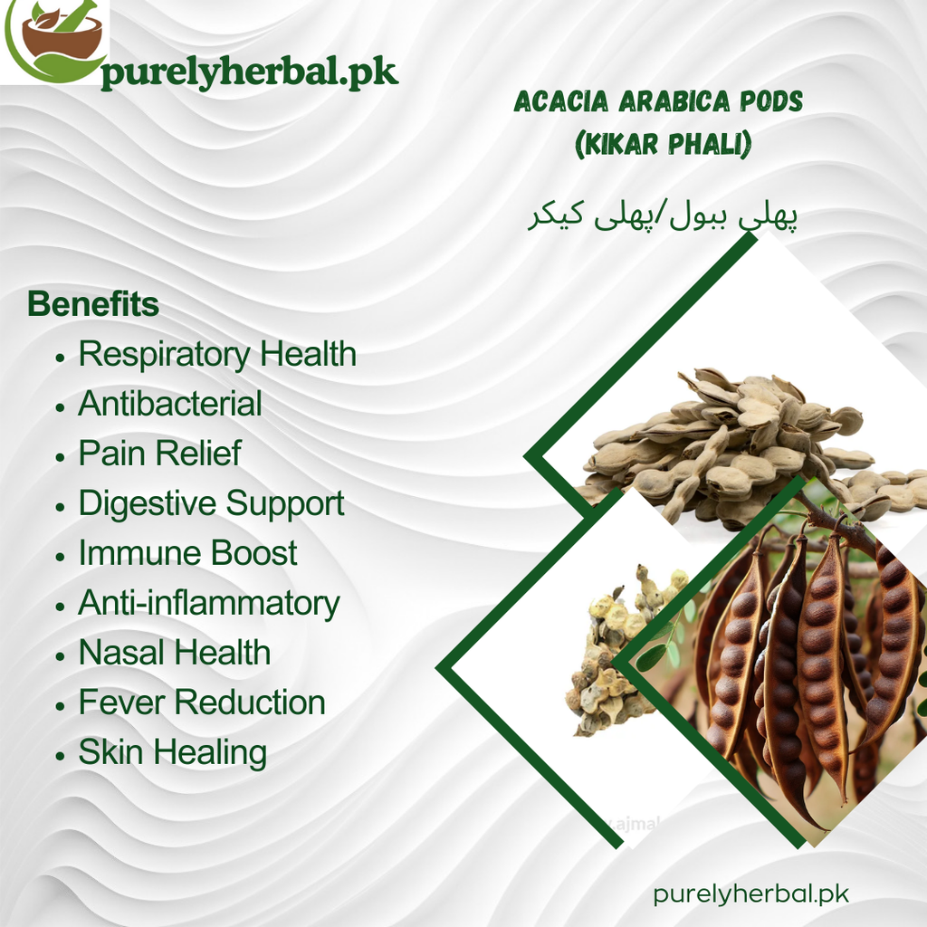 Kikar Phali / Acacia Arabica Pods / پھلی ببول / پھلی کیکر