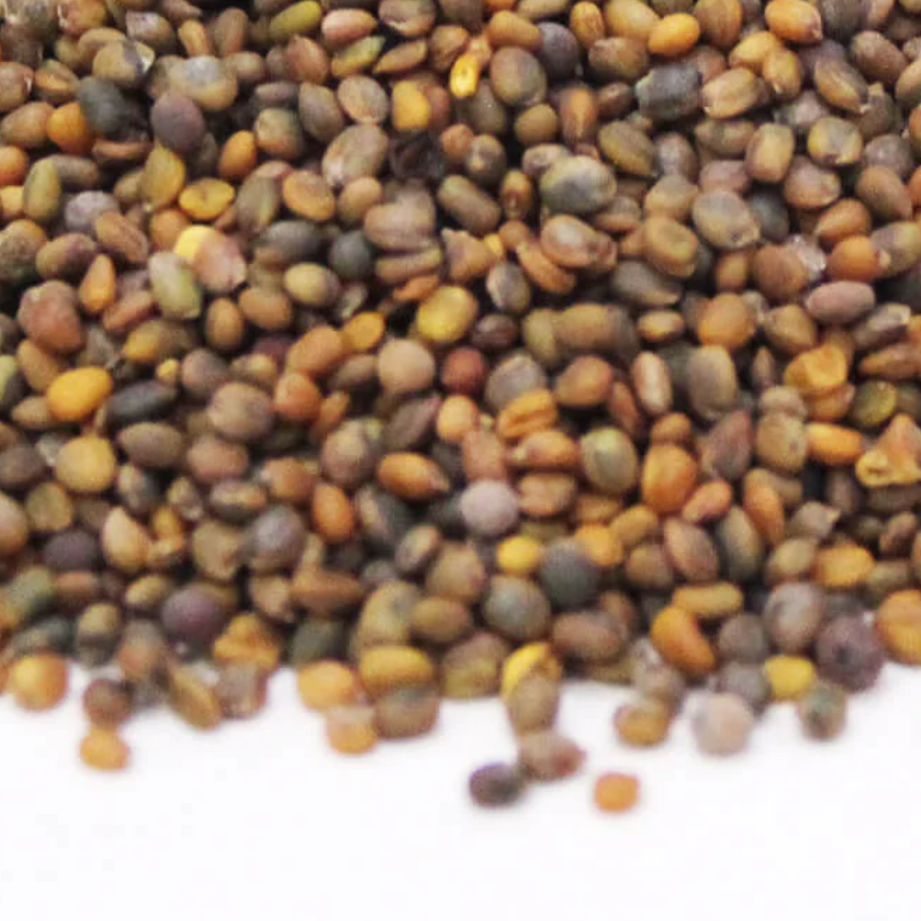 Tukhm e Taramira / Argula Seeds / Rocket Seeds / تارامیرا