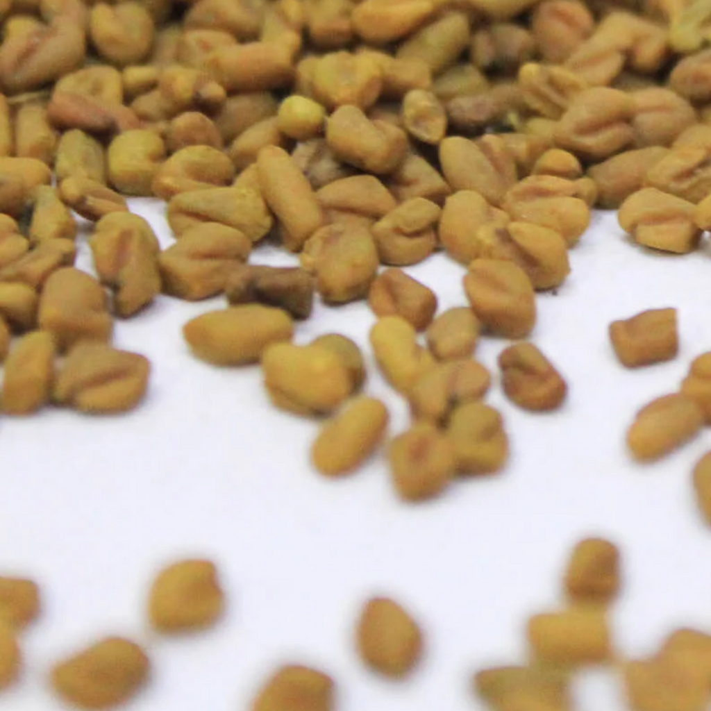 Methray / Graecum Seeds / میتھرے