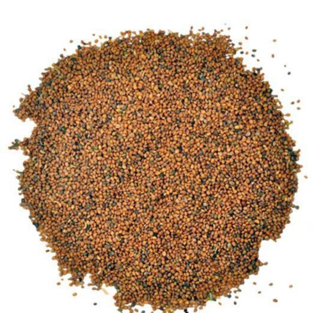 Tukhm e Taramira / Argula Seeds / Rocket Seeds / تارامیرا