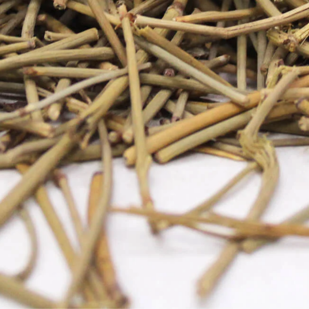 Soma Kalpa / Ephedra Fragilis / Joint Pine / سوما کلپا