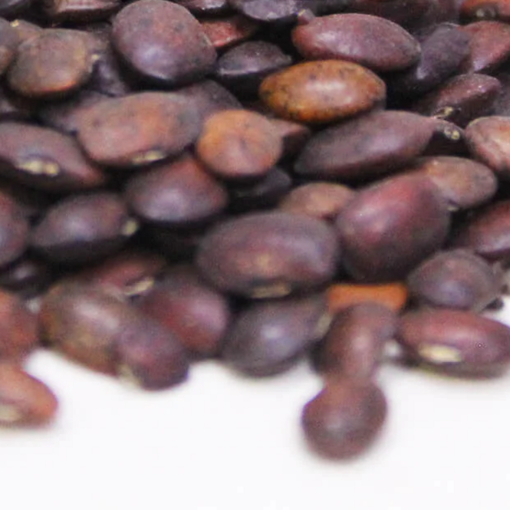 Dalkulathi / Horse Gram / Macrotyloma Uniflorum دال کلتھی