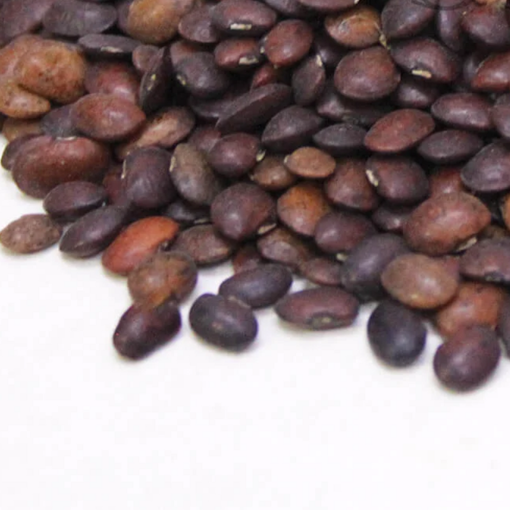 Dalkulathi / Horse Gram / Macrotyloma Uniflorum دال کلتھی