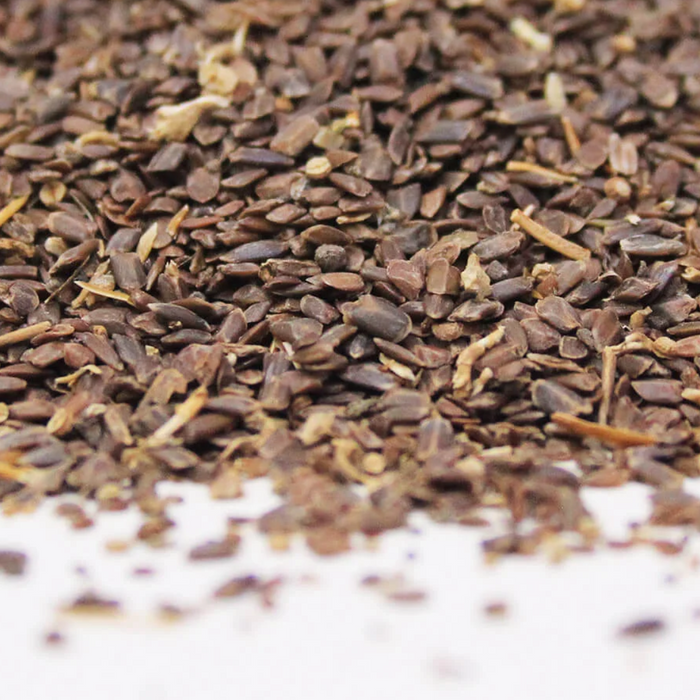 Talmakhana / Hygrophila Auriculata Seeds / تال مکھانہ