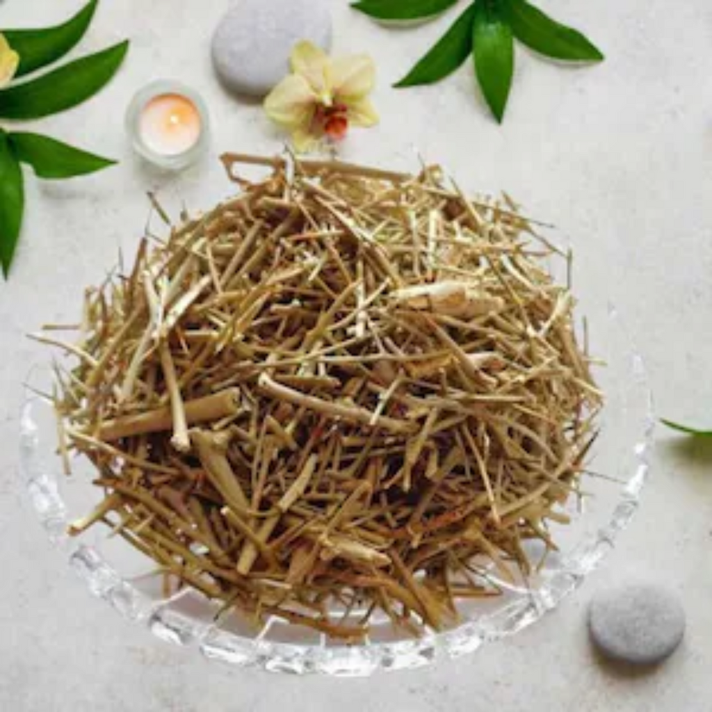 Dhamasa Botti / Fagonia Arabica / Dhamai / دھمائی/دھماسہ