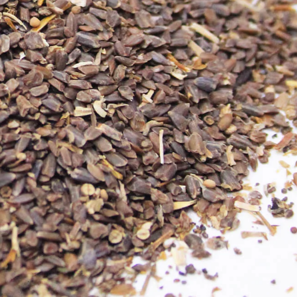 Talmakhana / Hygrophila Auriculata Seeds / تال مکھانہ