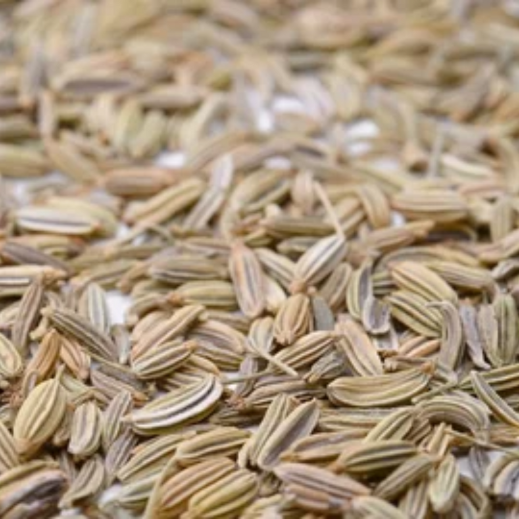 Jar Sonf / Fennel Root / جڑ سونف / بیخ سونف