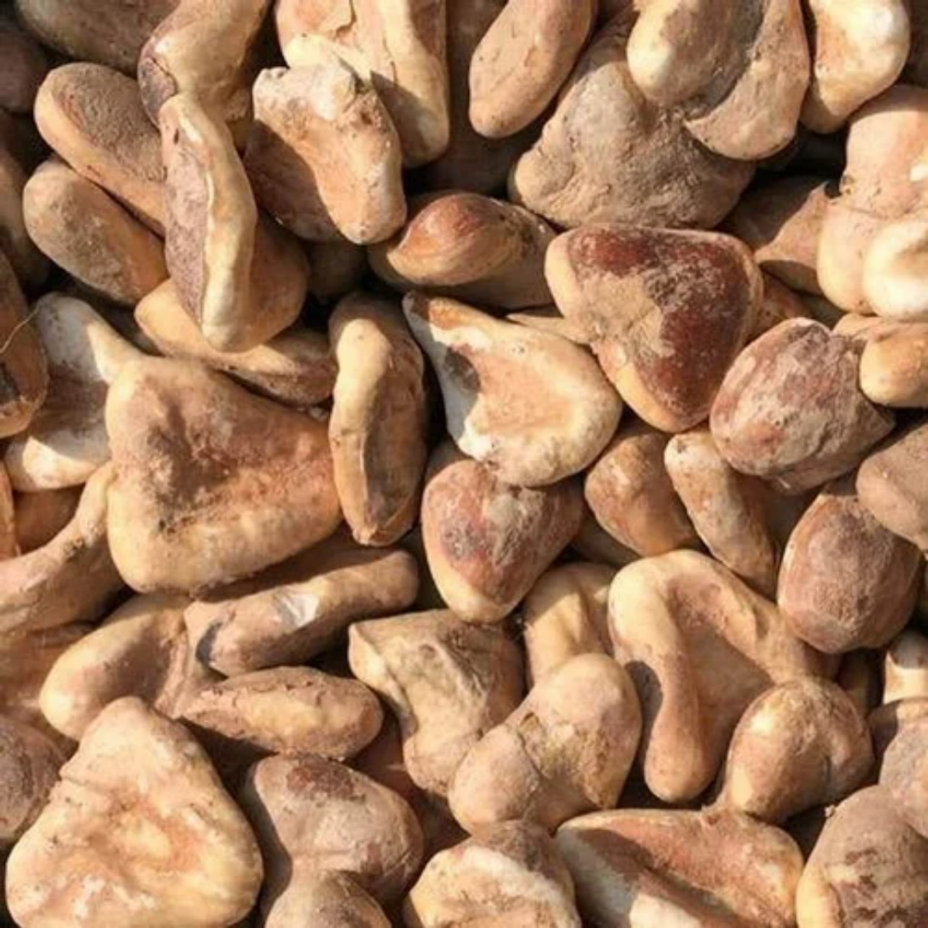 Singhara / Dried Water Chestnuts / سنگاڑے