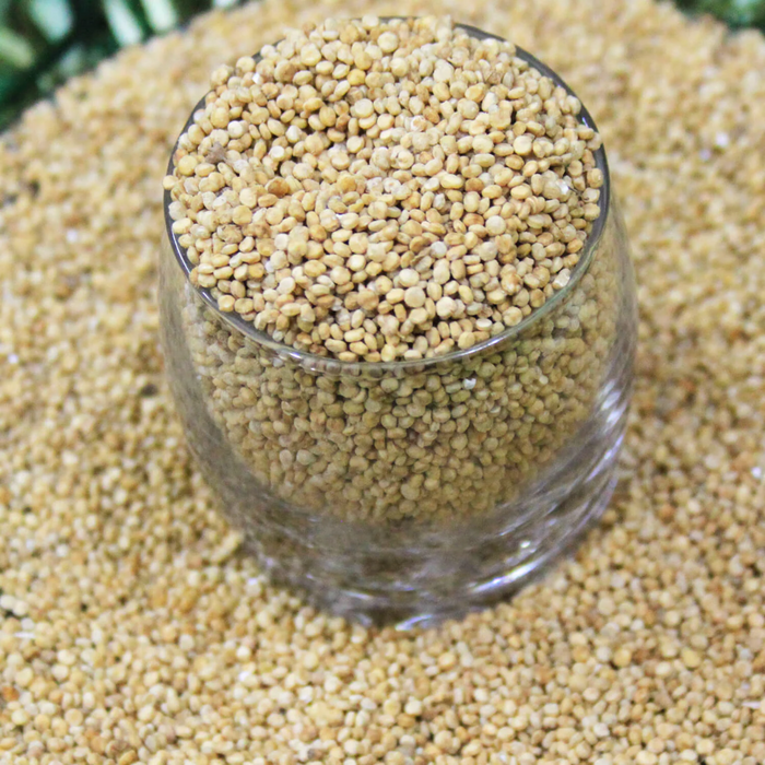 Quinoa Seeds قنوا