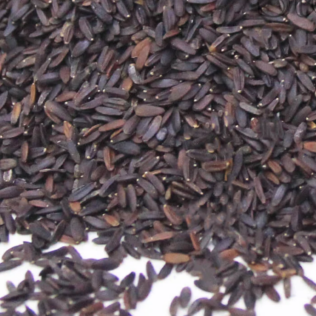 Tukhm e Malanga / Basil Seeds / بلنگو/تخم ملنگا