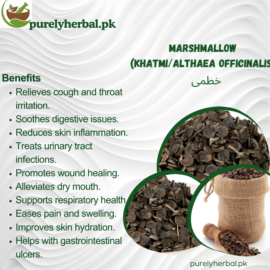Khatmi / Marshmallow / Althaea Officinalis خطمی