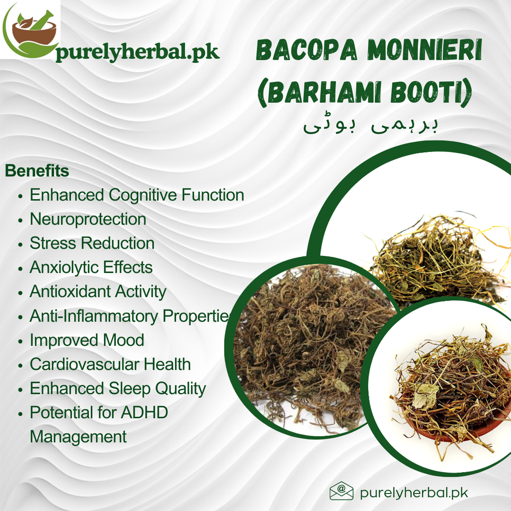 Barhami Booti / Bacopa Monnieri / برہمی بوٹی