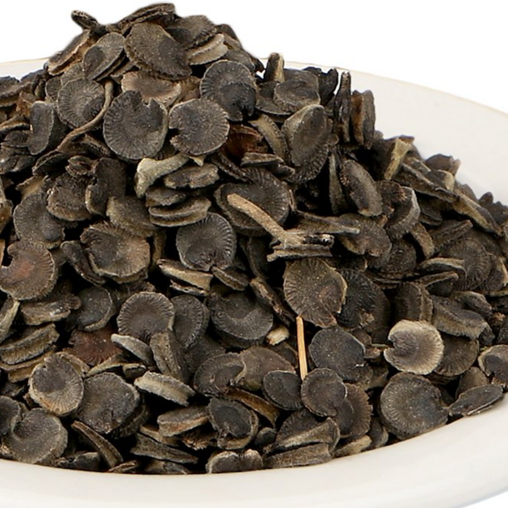 Khatmi / Marshmallow / Althaea Officinalis خطمی