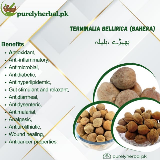 Bahera / Terminalia Bellirica / بھیڑے / بلیلہ