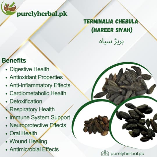 Hareer Siyah / Terminalia Chebula / ہریڑ سیاہ