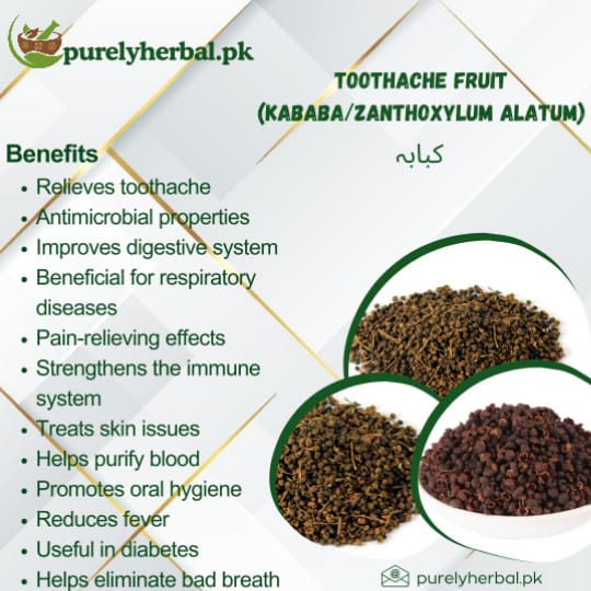 Kababa / Toothache Fruit / Zanthoxylum Alatum کبابہ
