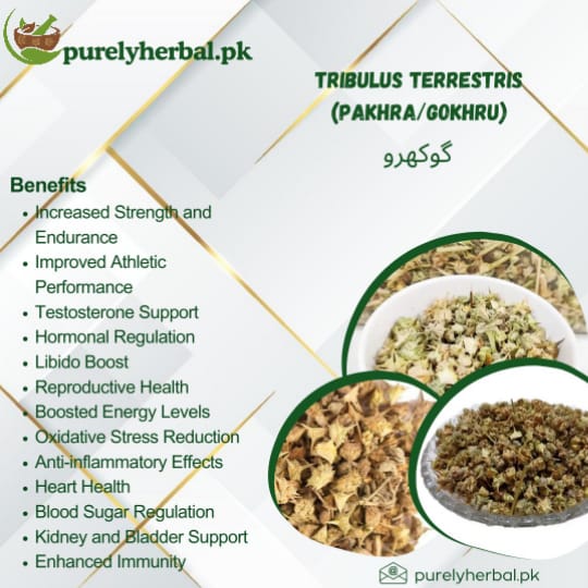 Gokhru / Pakhra / Tribulus Terrestris  گوکھرو