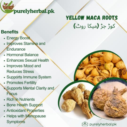 korr jar / Yellow Maca Roots کوڑ جڑ
