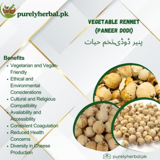 Paneer Dodi / Vegetable Rennet / پنیر ڈوڈی / تخم حیات