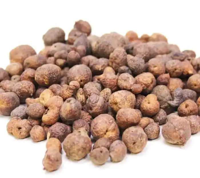 Australian Pine Tree Fruit (Mae Khurd/Mai) مائیں