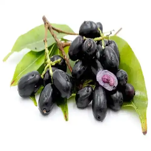 Jambolan Seeds (Tukhm e Jaman) تخم جامن