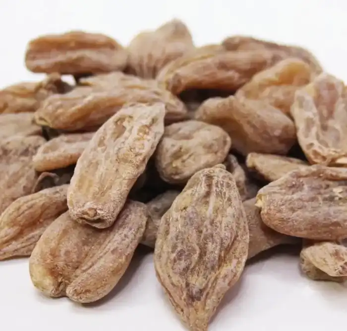 Salep Orchid (Salab Misri) ثعلب مصری