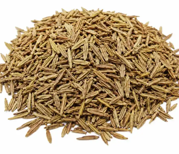 Tellicherry (Indarjo Talkh) اندرجوں تلخ،کوڑے جوں