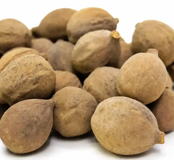 Terminalia Bellirica (Bahera) بھیڑے ،بلیلہ
