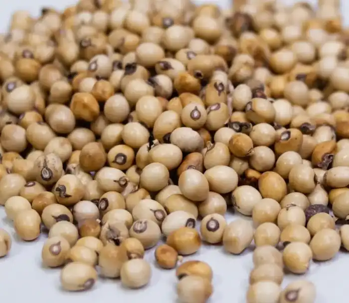 White Ghungchi Seeds (Ratti Safeed) رتی سفید