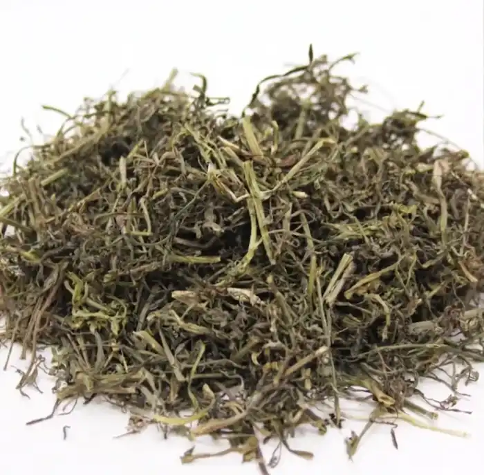 Common Fumittory (Fumaria officinalis/Shahtara) شاہترہ