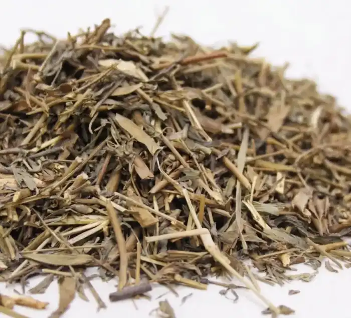 Galega Officinalis (Goat Rue/Sarphoka) سر پھوکہ