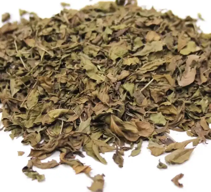 Henna Leaves (Barg e Mehndi) برگ مہندی