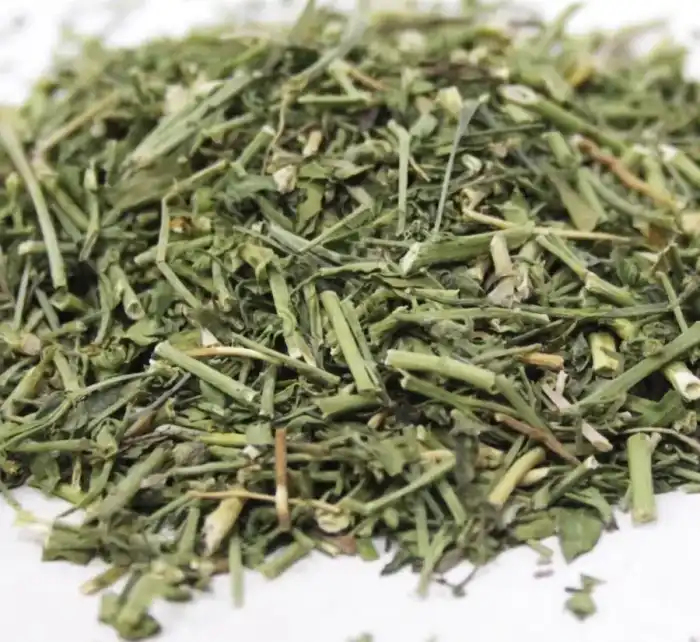 Garden Rue (Ruta Graveolens/Barg e Sudaab) برگ سداب