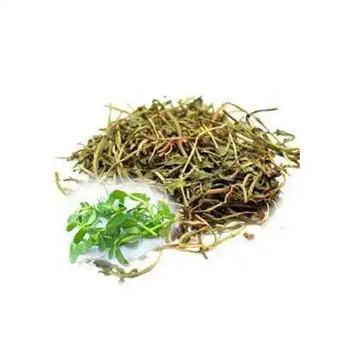Herpes Monnieri (Jal Neem) جل نیم