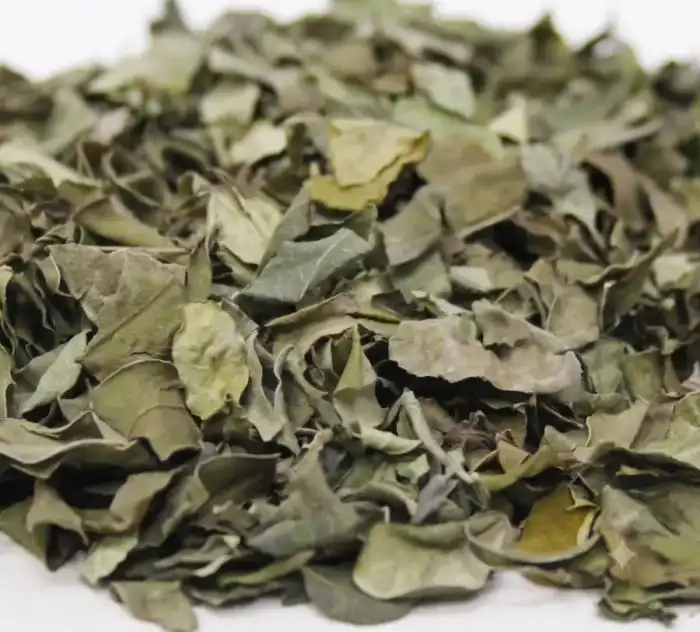 Moringa Leaves (Sohanjna) برگ سہانجنہ