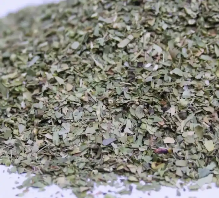 Oregano اوریگینو