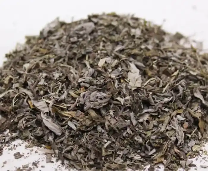 Peppermint Leaves (Podina) پودینہ