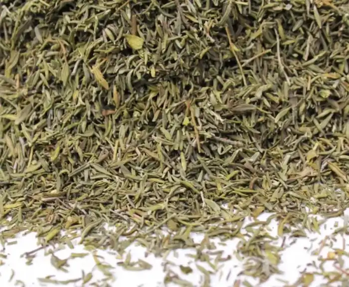 Thyme (Barg e Ajwain) اجوائن کے پتے