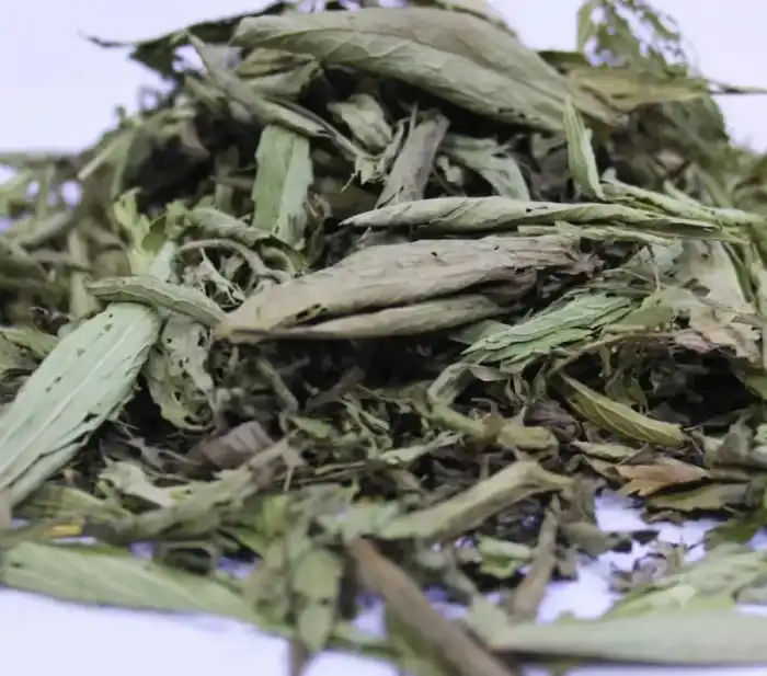 Stevia Leaves سٹیویا