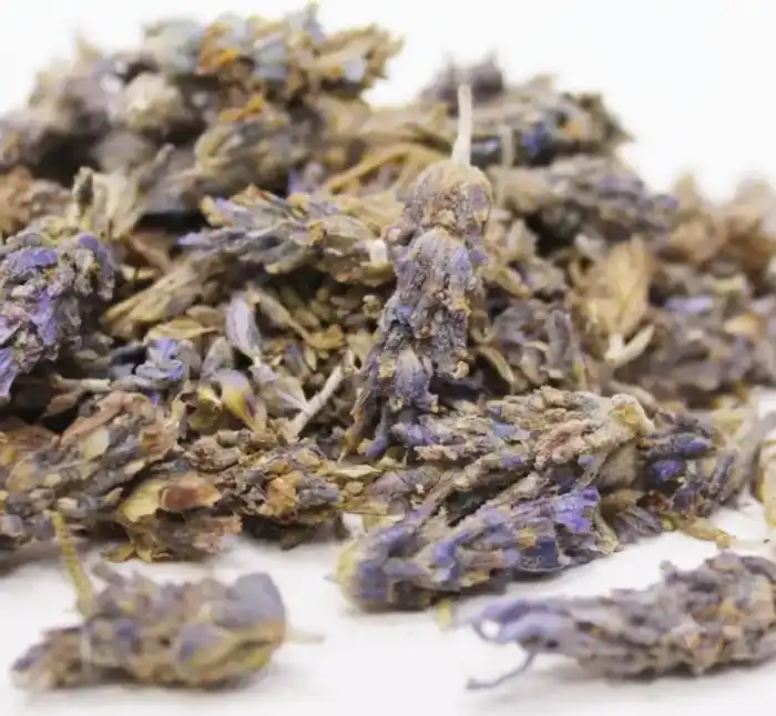 Lavender Flower (Ustakhadoos) اسطخدوس