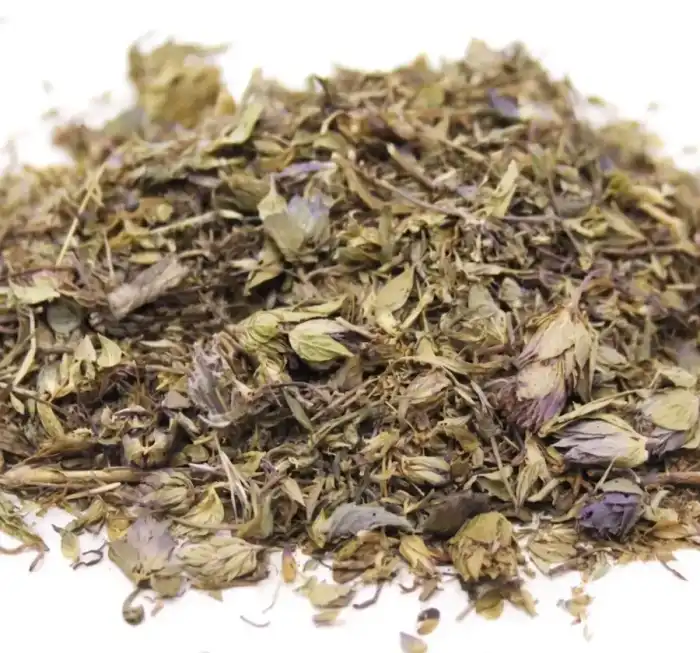 Hyssop (Hyssopus officinalis/Zofa)گل زوفہ
