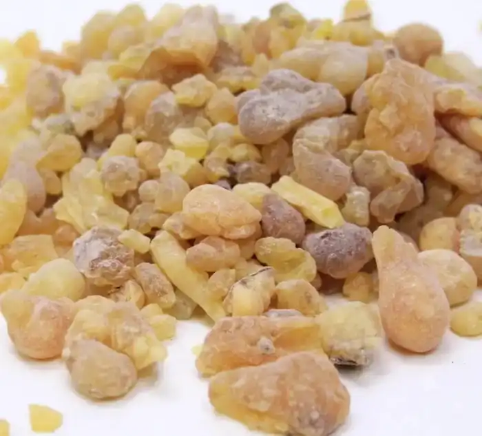 Frankincense Gum (Gond Kundar)گوند کندر