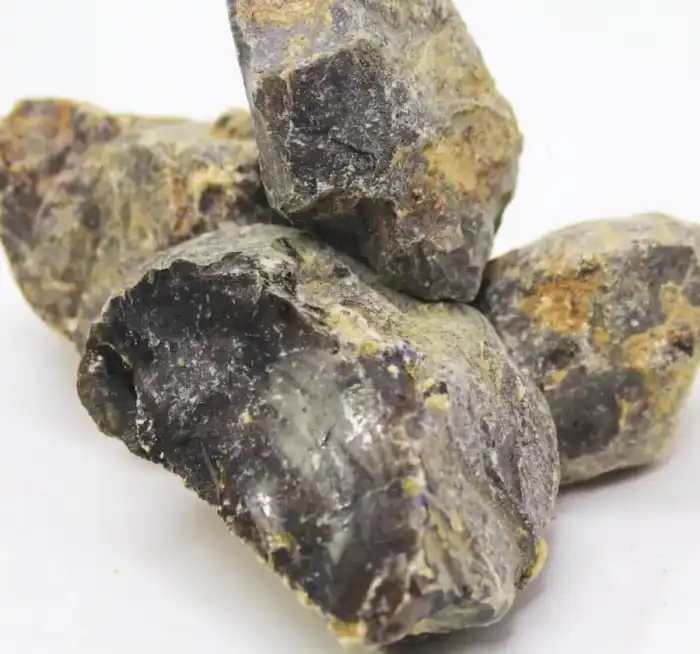 Scammony (Saqmonia) سقمونیا