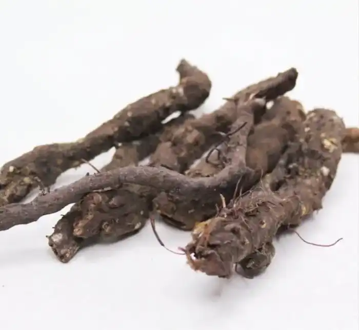 Alpine Bistort (Anjbar/Persicaria Viviparum) انجبار