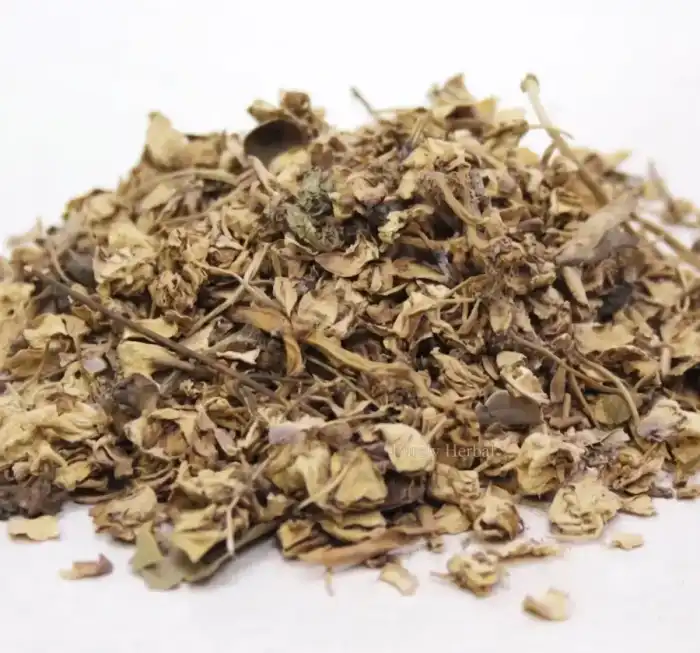 Crown Flower (Gul Madar/Aak Phool) گل مدار