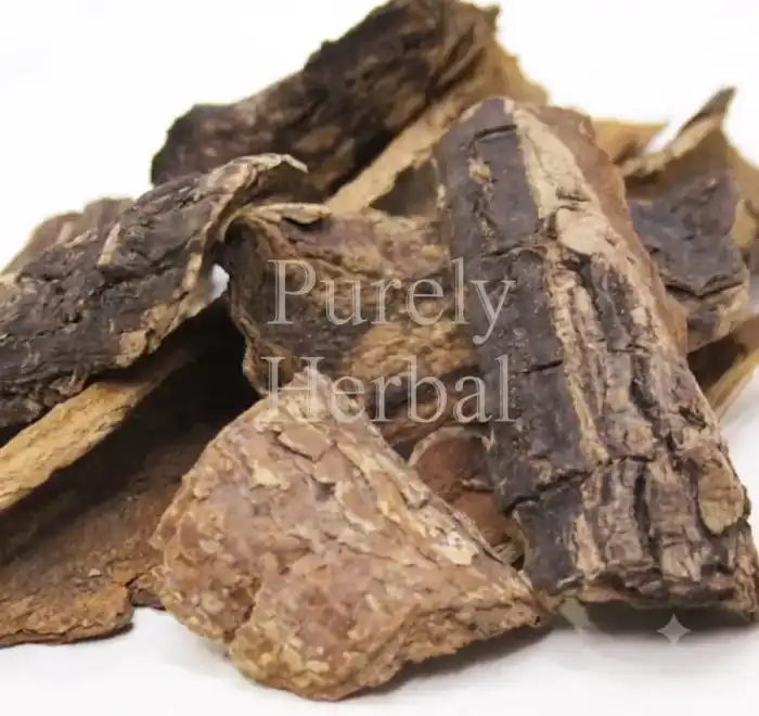 Common Tallow Laurel (Maida Sak/Litsea Glutinosa) میدہ سک
