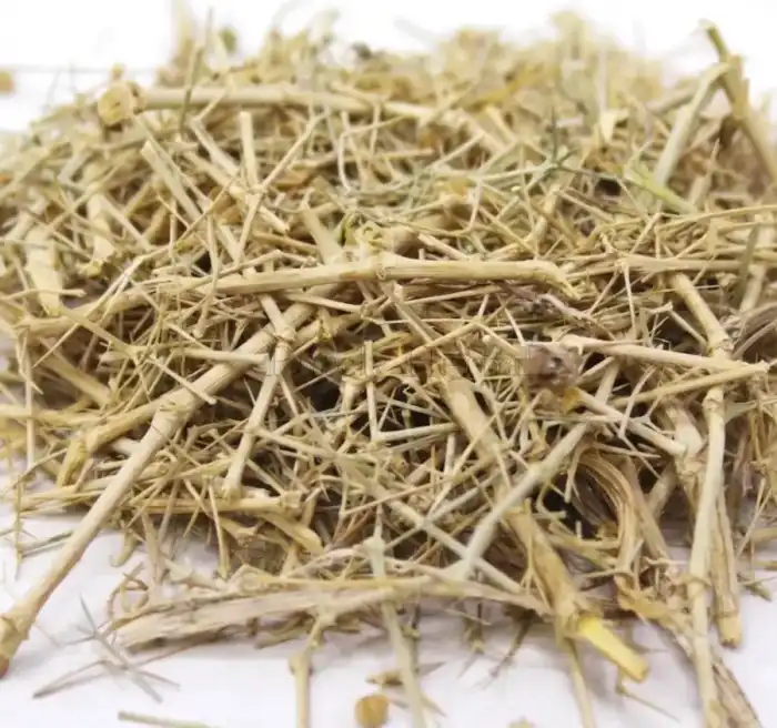 Fagonia Arabica (Dhamai/Dhamasa Botti) دھمائی/دھماسہ