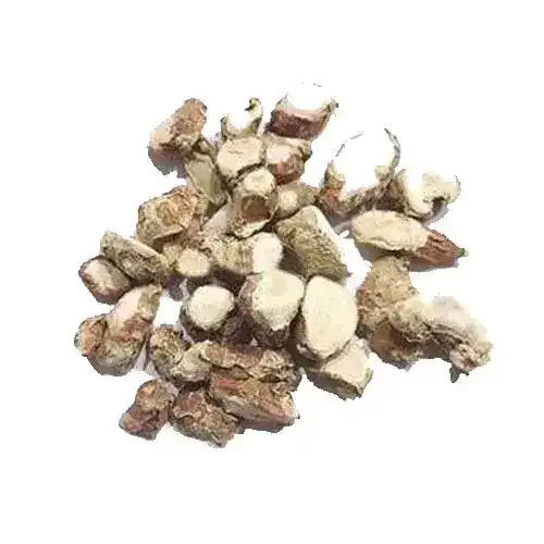 Ginger Lily (Hedychium Coronarium/Kapoor Kachri) کپور کچری