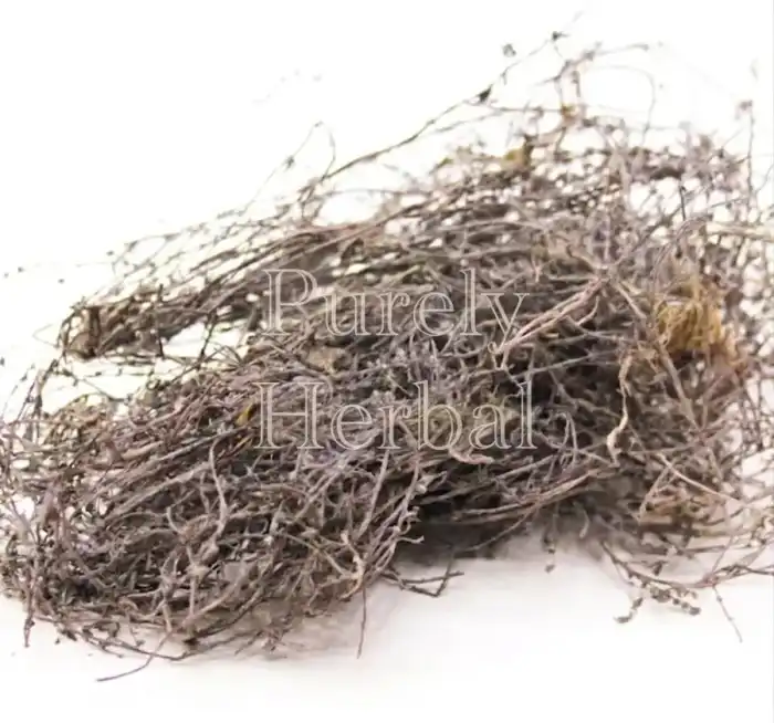 Gorakh paan(heliotropium strigosu)گورکھ پان
