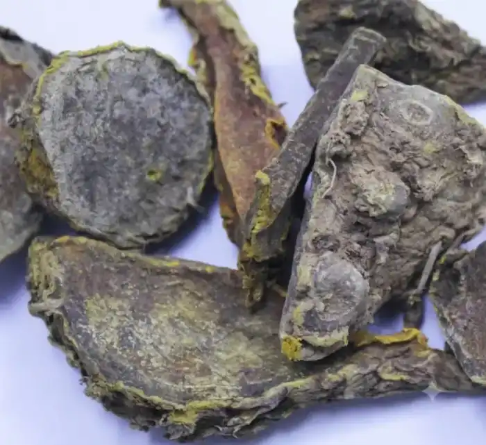 Wild Turmeric (Amba Haldi) آنبہ ہلدی